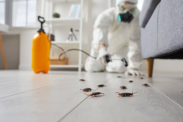 Post-Treatment Bed Bug Interceptor Monitoring in Wilmington